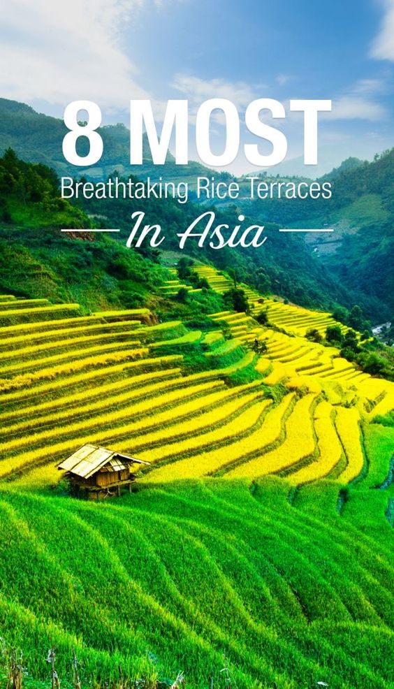 rice-terraces-Asiaa