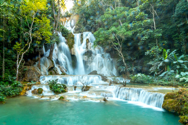 luang_prabang_waterfall_tad_sae_Laos