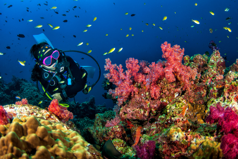 Scube_Diving_Coral_Reef_Thailand_Koh_Phangan