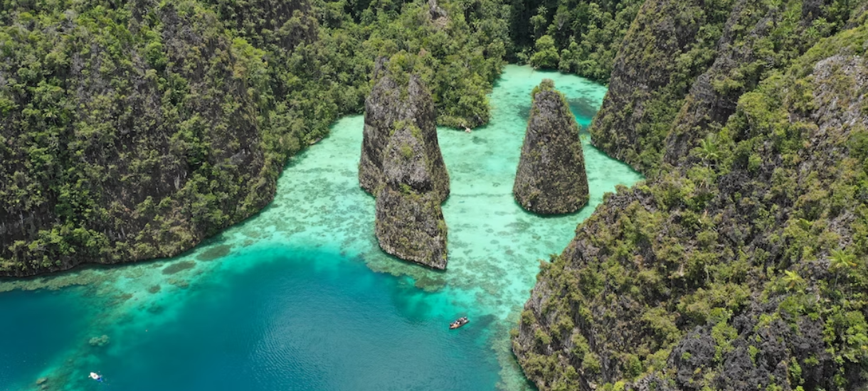 an aerial view of a lagoon surrounded by trees